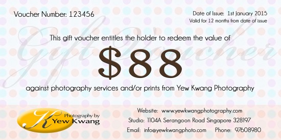 $88 Gift Voucher | gift_vouchers_2015_88s.jpg