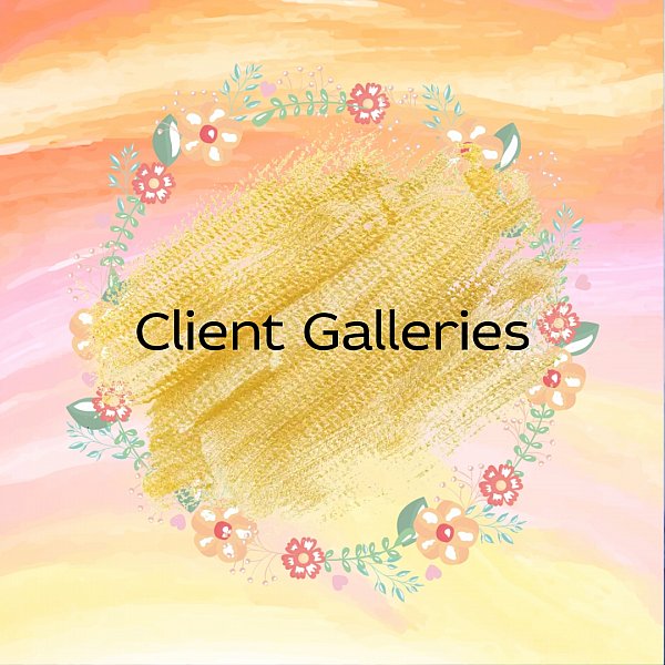 Sytist-client-galleries.jpg