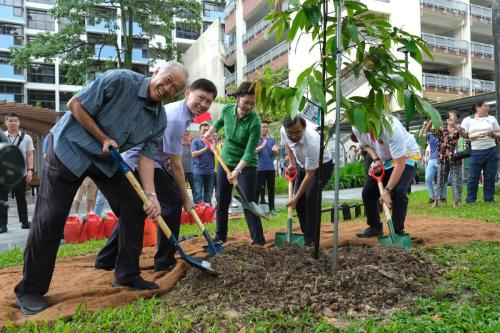 Tree Planting Day