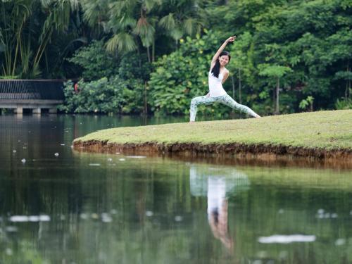 Yogis practising at outdoor